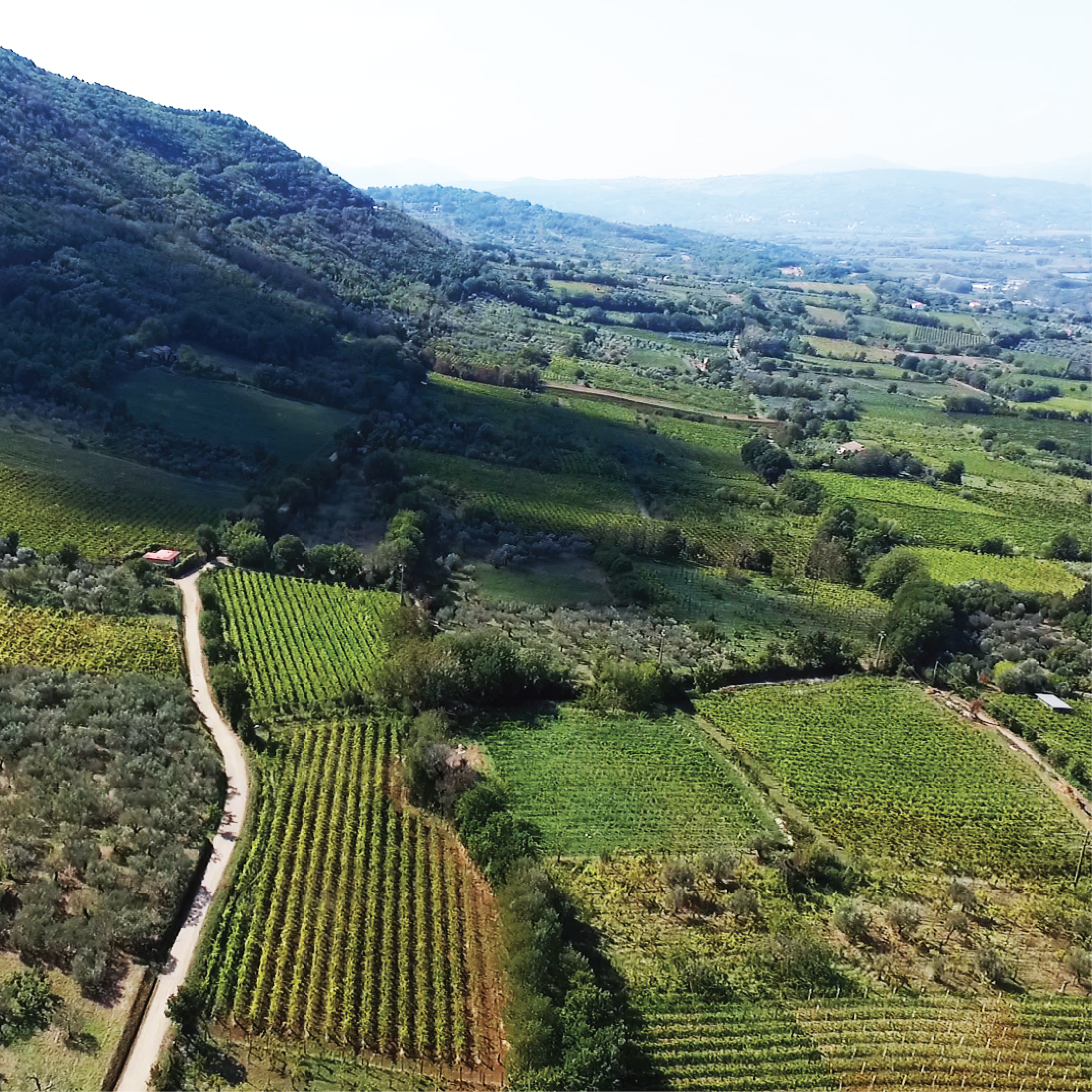 The Telesina Valley